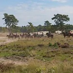 De Stal Casa de hóspedes