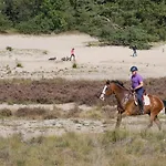De Stal 3*