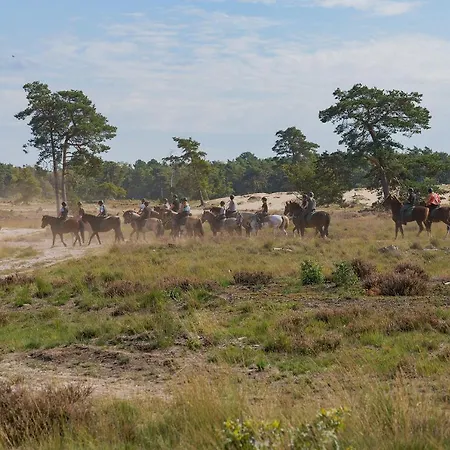 De Stal בית הארחה