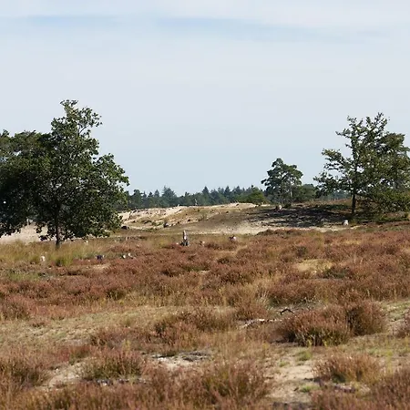 Casa de hóspedes De Stal Kaatsheuvel
