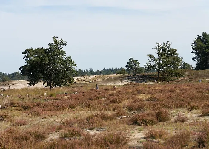 Πανσιόν De Stal Kaatsheuvel