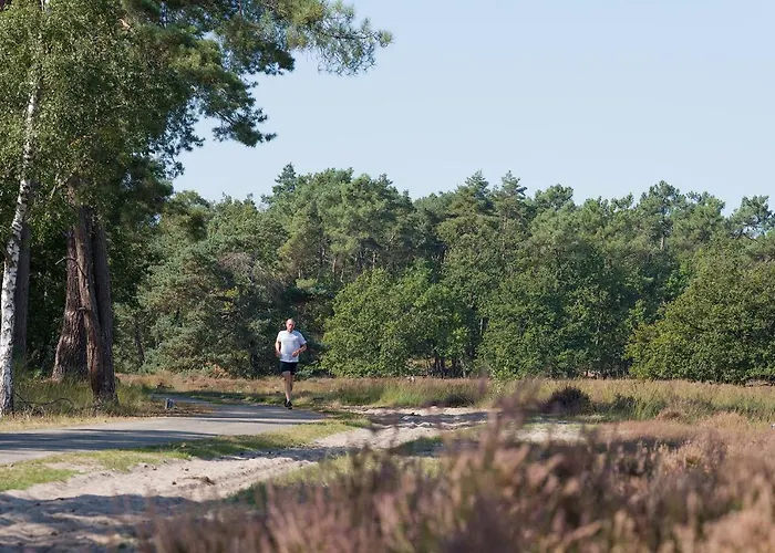 De Stal Πανσιόν 3*