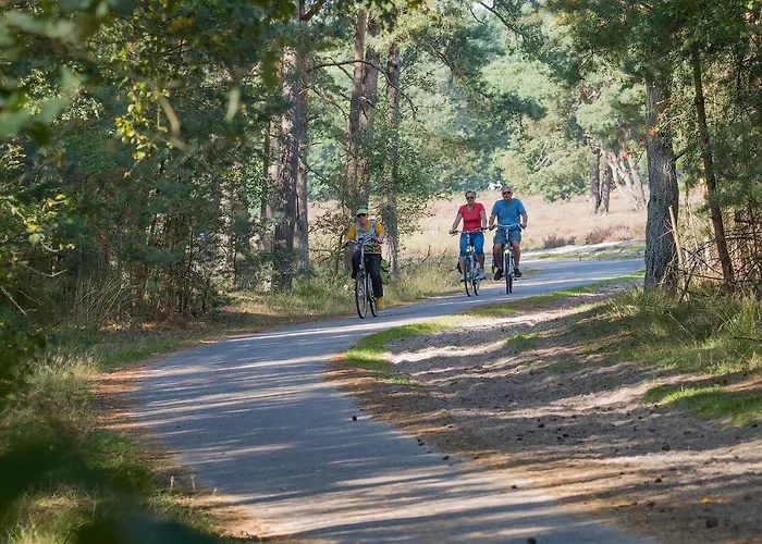 Πανσιόν De Stal 3*