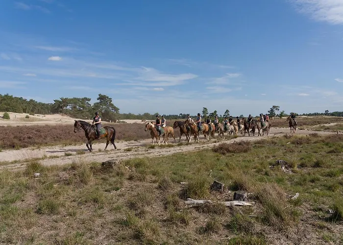 בית הארחה De Stal 3*